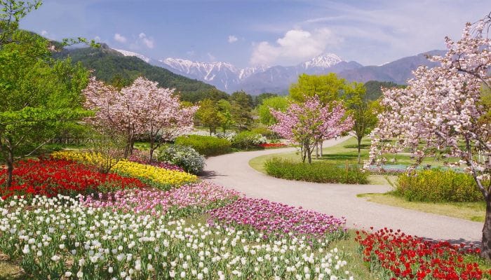 o que deve ter em um jardim