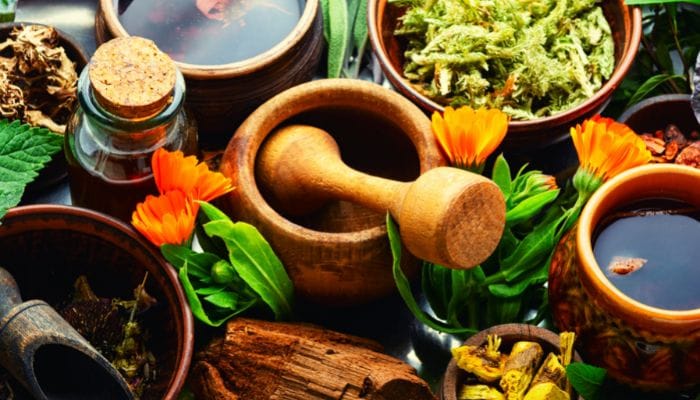 quais são as principais plantas medicinais