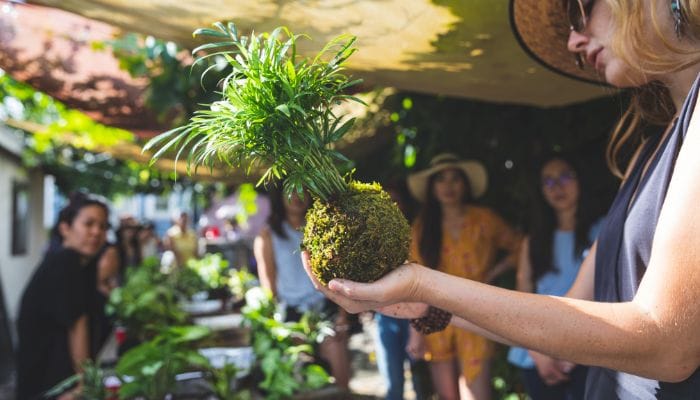 quantas vezes regar kokedama
