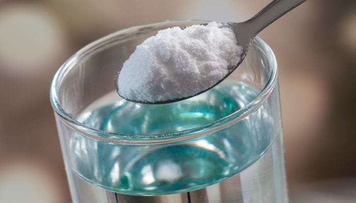 bicarbonato nas plantas