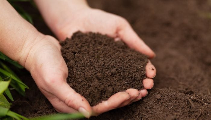 como adubar a terra para horta