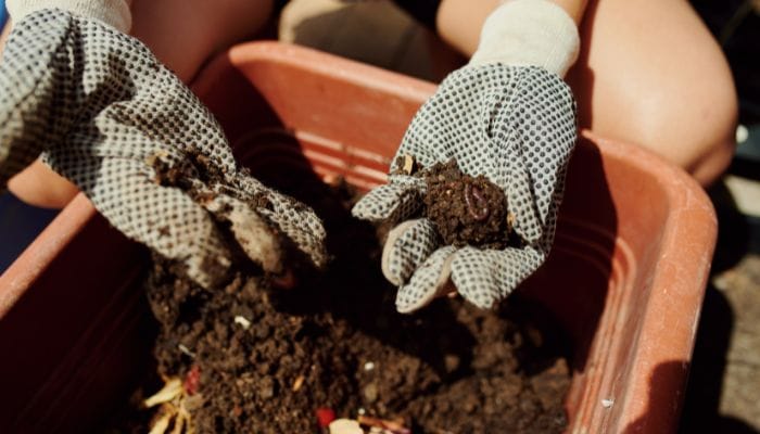 como fazer adubo orgânico